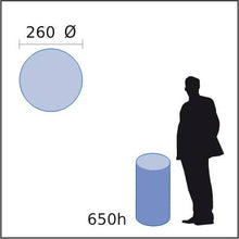 Load image into Gallery viewer, Small Round 650h &lt;br&gt; Ref: SR12000
